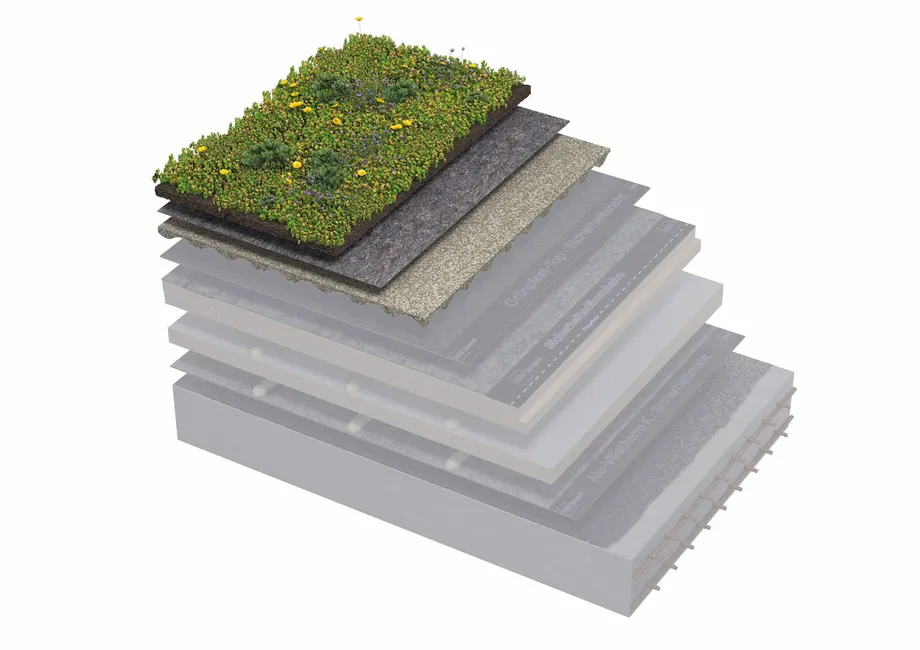 icopal-zalio-stogo-paruosimo-sluoksniai